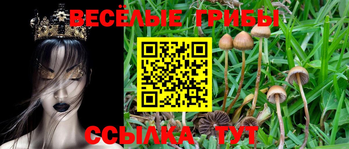 Ханты-Мансийск  Галлюциногенные грибы MAGIC MUSHROOMS  Вход с VPN  Галлюциногенные грибы Psilocybe 