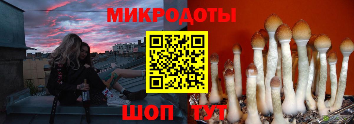 Галлюциногенные грибы прущие грибы Ханты-Мансийск